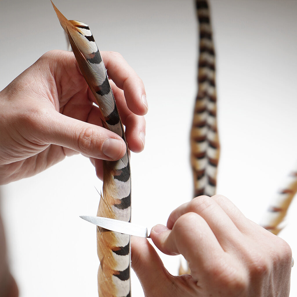 maison février moulin rouge